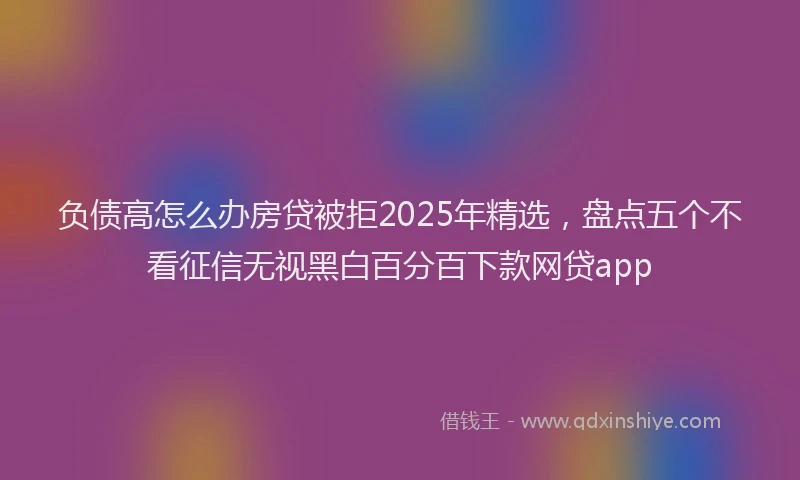负债高怎么办房贷被拒2025年精选，盘点五个不看征信无视黑白百分百下款网贷app