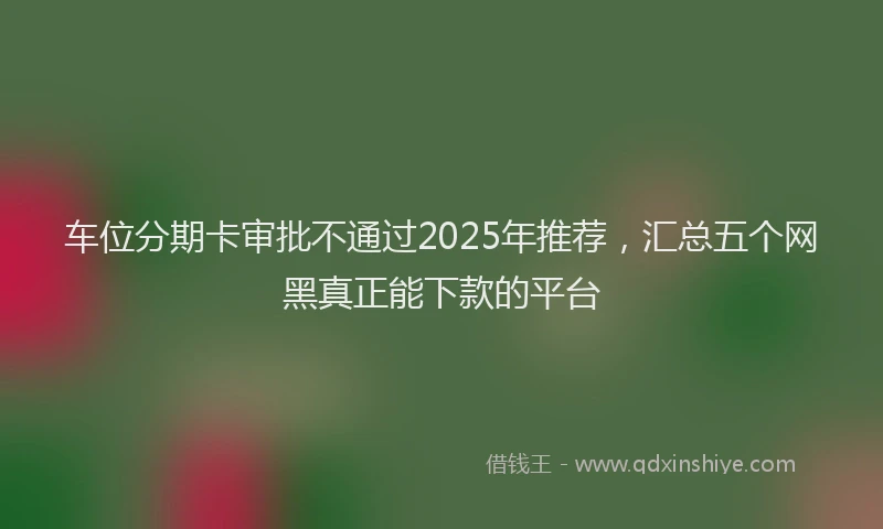 车位分期卡审批不通过2025年推荐，汇总五个网黑真正能下款的平台