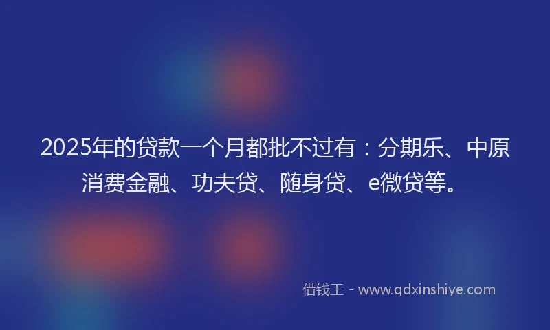 2025年的贷款一个月都批不过有：分期乐、中原消费金融、功夫贷、随身贷、e微贷等。