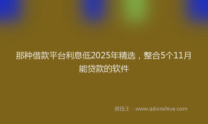 那种借款平台利息低2025年精选，整合5个11月能贷款的软件