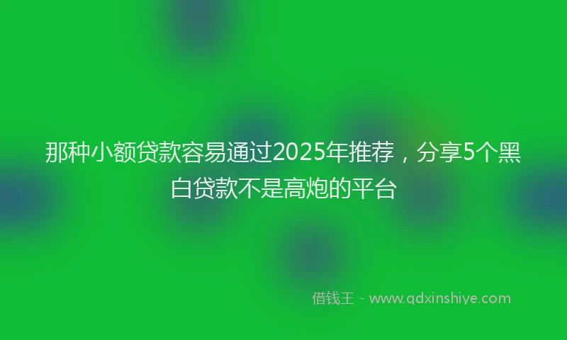 那种小额贷款容易通过2025年推荐，分享5个黑白贷款不是高炮的平台