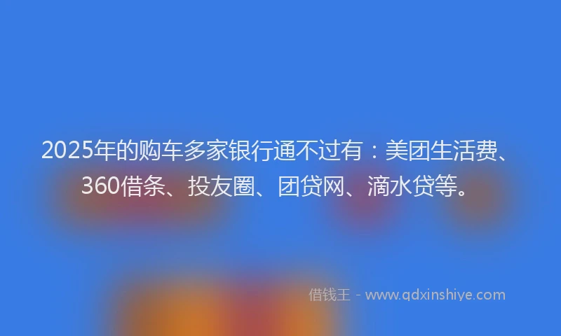 2025年的购车多家银行通不过有：美团生活费、360借条、投友圈、团贷网、滴水贷等。