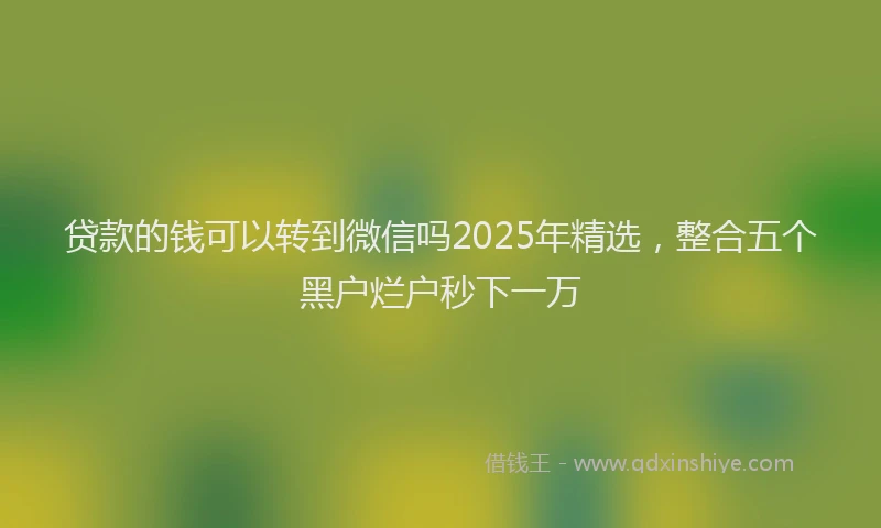 贷款的钱可以转到微信吗2025年精选，整合五个黑户烂户秒下一万
