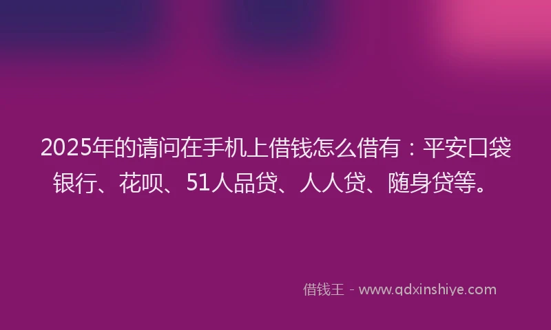 2025年的请问在手机上借钱怎么借有：平安口袋银行、花呗、51人品贷、人人贷、随身贷等。