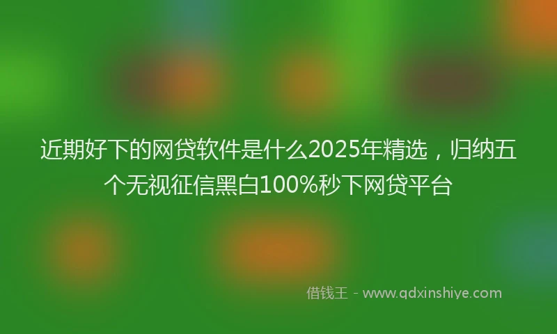 近期好下的网贷软件是什么2025年精选，归纳五个无视征信黑白100%秒下网贷平台