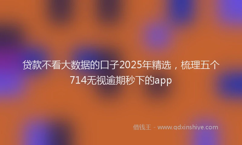 贷款不看大数据的口子2025年精选，梳理五个714无视逾期秒下的app