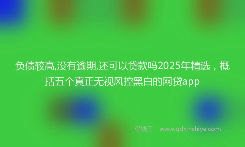 负债较高,没有逾期,还可以贷款吗2025年精选，概括五个真正无视风控黑白的网贷app