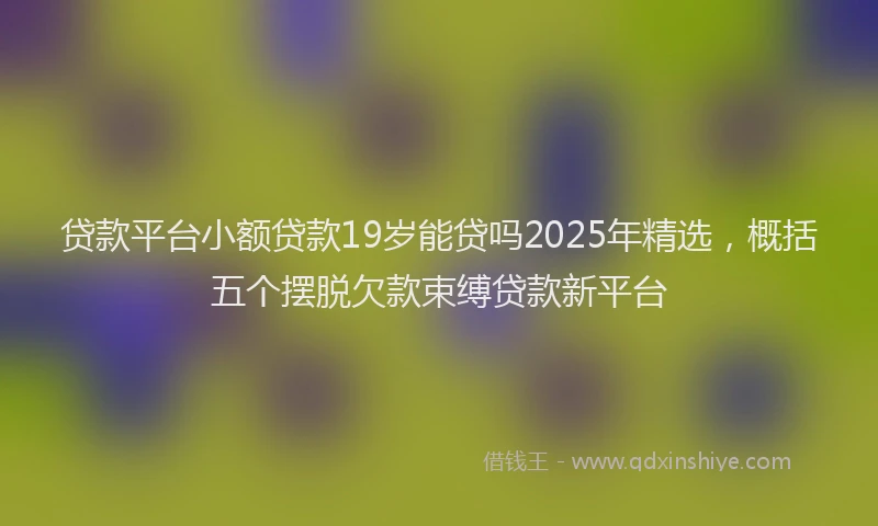 贷款平台小额贷款19岁能贷吗2025年精选，概括五个摆脱欠款束缚贷款新平台