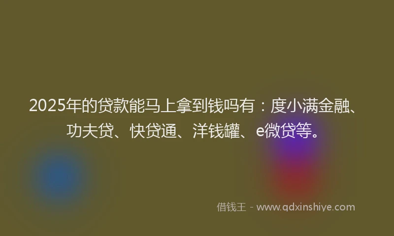 2025年的贷款能马上拿到钱吗有：度小满金融、功夫贷、快贷通、洋钱罐、e微贷等。
