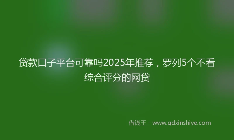 贷款口子平台可靠吗2025年推荐，罗列5个不看综合评分的网贷