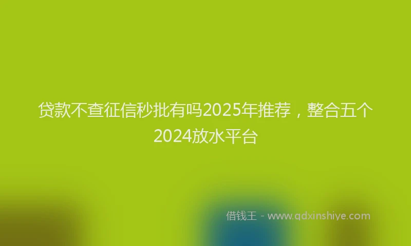 贷款不查征信秒批有吗2025年推荐，整合五个2024放水平台