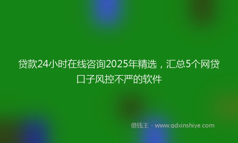 贷款24小时在线咨询2025年精选，汇总5个网贷口子风控不严的软件