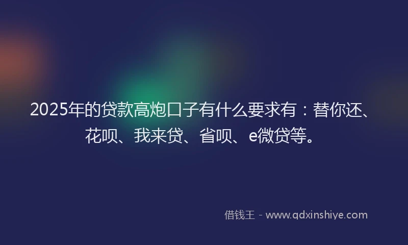 2025年的贷款高炮口子有什么要求有：替你还、花呗、我来贷、省呗、e微贷等。