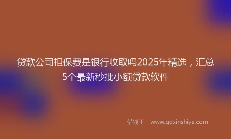 贷款公司担保费是银行收取吗2025年精选，汇总5个最新秒批小额贷款软件