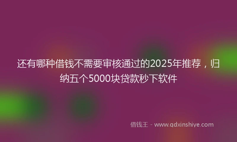 还有哪种借钱不需要审核通过的2025年推荐，归纳五个5000块贷款秒下软件