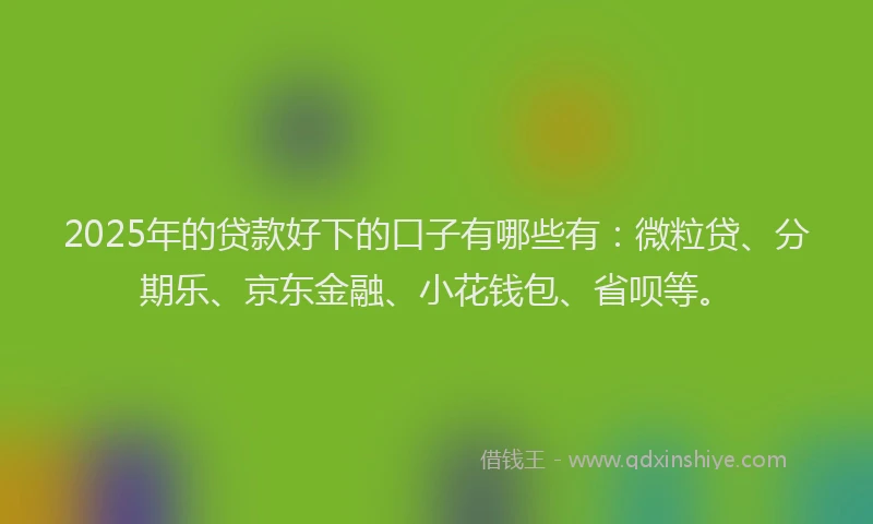 2025年的贷款好下的口子有哪些有：微粒贷、分期乐、京东金融、小花钱包、省呗等。