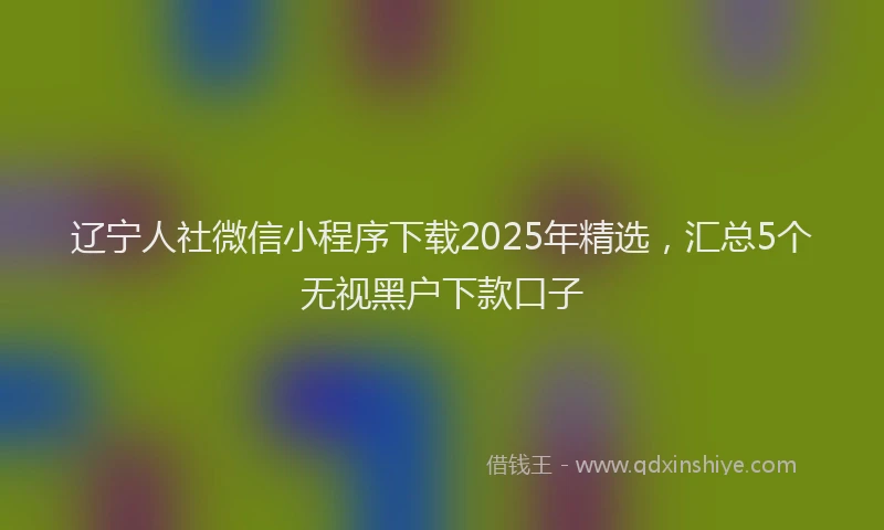 辽宁人社微信小程序下载2025年精选，汇总5个无视黑户下款口子
