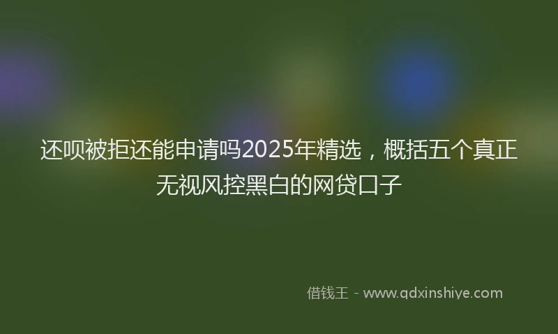 还呗被拒还能申请吗2025年精选，概括五个真正无视风控黑白的网贷口子