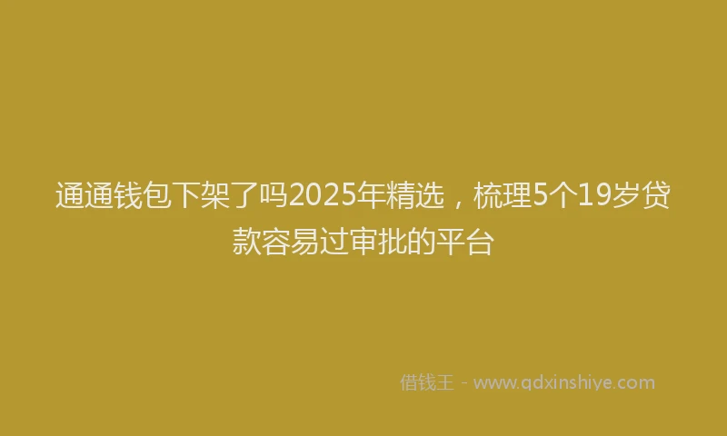 通通钱包下架了吗2025年精选，梳理5个19岁贷款容易过审批的平台