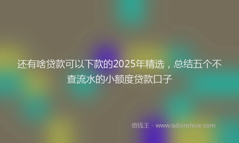 还有啥贷款可以下款的2025年精选，总结五个不查流水的小额度贷款口子