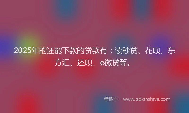 2025年的还能下款的贷款有：读秒贷、花呗、东方汇、还呗、e微贷等。