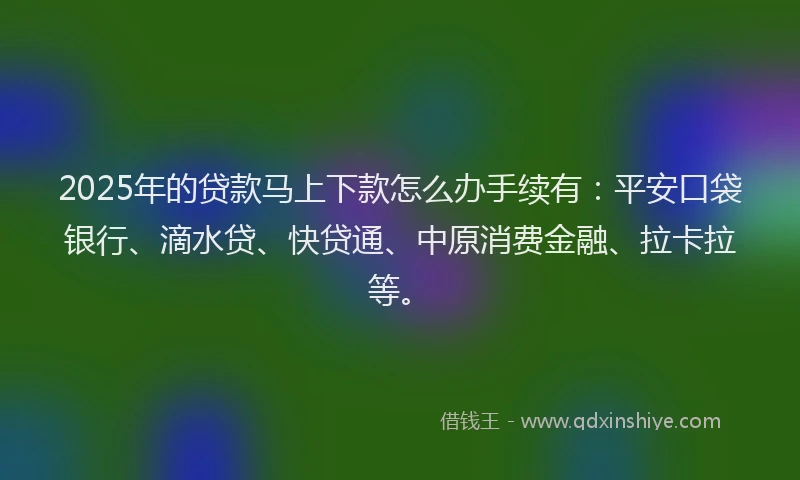 2025年的贷款马上下款怎么办手续有：平安口袋银行、滴水贷、快贷通、中原消费金融、拉卡拉等。