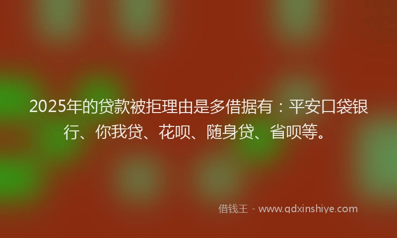2025年的贷款被拒理由是多借据有：平安口袋银行、你我贷、花呗、随身贷、省呗等。