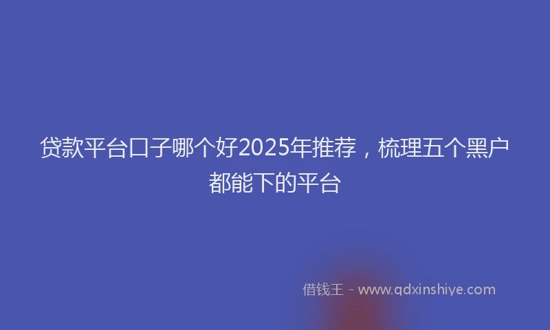 贷款平台口子哪个好2025年推荐，梳理五个黑户都能下的平台