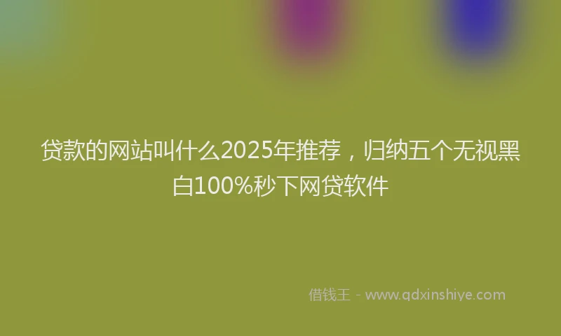 贷款的网站叫什么2025年推荐，归纳五个无视黑白100%秒下网贷软件