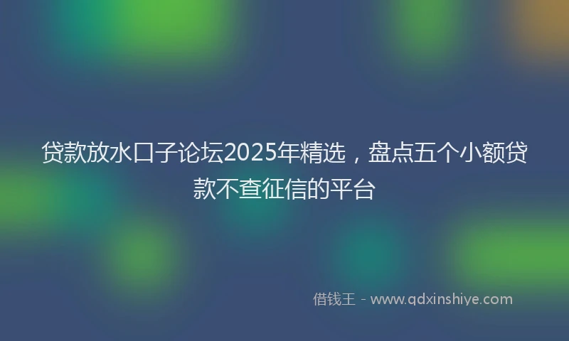 贷款放水口子论坛2025年精选，盘点五个小额贷款不查征信的平台
