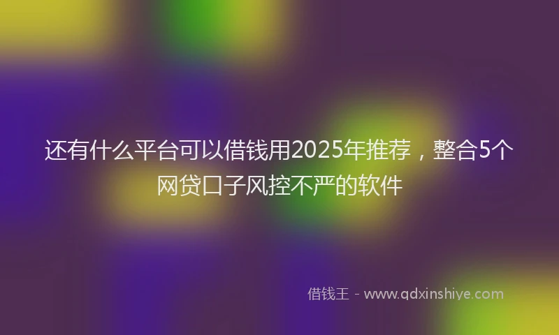 还有什么平台可以借钱用2025年推荐，整合5个网贷口子风控不严的软件
