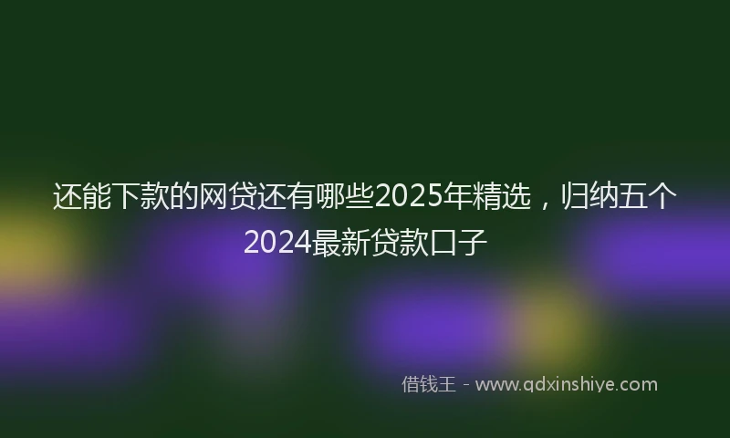 还能下款的网贷还有哪些2025年精选，归纳五个2024最新贷款口子