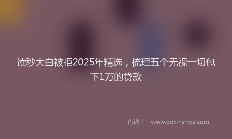 读秒大白被拒2025年精选，梳理五个无视一切包下1万的贷款