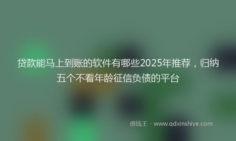 贷款能马上到账的软件有哪些2025年推荐，归纳五个不看年龄征信负债的平台