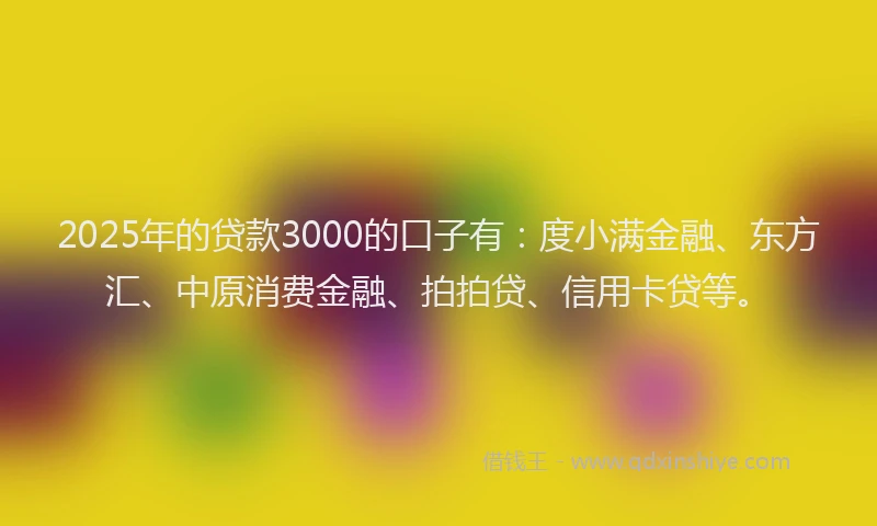 2025年的贷款3000的口子有：度小满金融、东方汇、中原消费金融、拍拍贷、信用卡贷等。