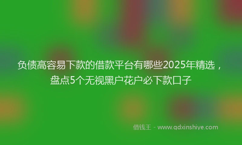 负债高容易下款的借款平台有哪些2025年精选，盘点5个无视黑户花户必下款口子