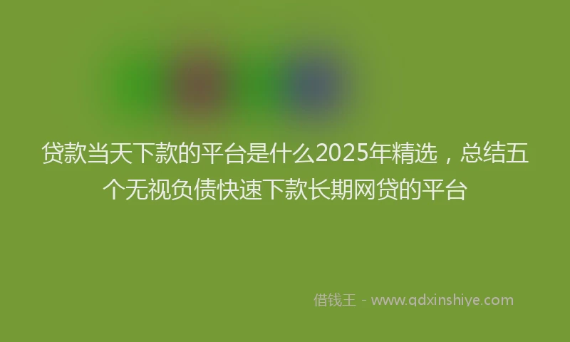 贷款当天下款的平台是什么2025年精选，总结五个无视负债快速下款长期网贷的平台