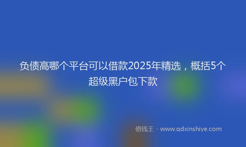 负债高哪个平台可以借款2025年精选，概括5个超级黑户包下款