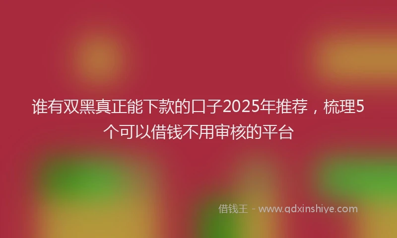 谁有双黑真正能下款的口子2025年推荐，梳理5个可以借钱不用审核的平台