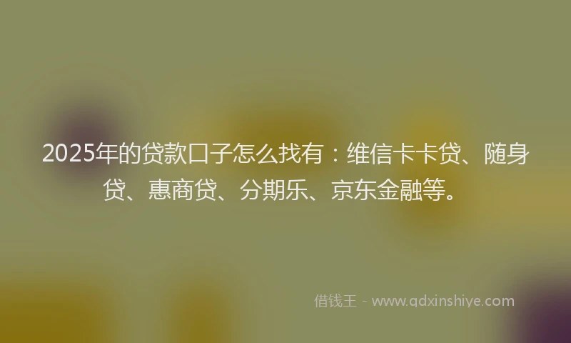 2025年的贷款口子怎么找有：维信卡卡贷、随身贷、惠商贷、分期乐、京东金融等。