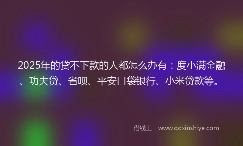 2025年的贷不下款的人都怎么办有：度小满金融、功夫贷、省呗、平安口袋银行、小米贷款等。