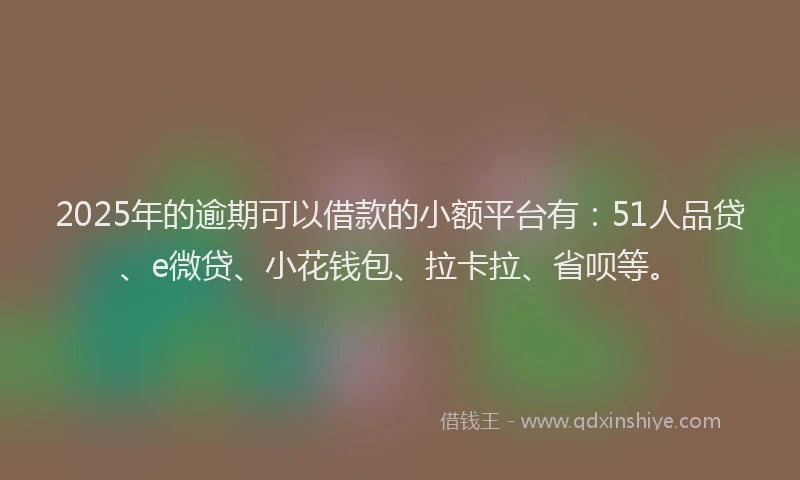 2025年的逾期可以借款的小额平台有：51人品贷、e微贷、小花钱包、拉卡拉、省呗等。