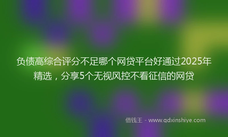 负债高综合评分不足哪个网贷平台好通过2025年精选，分享5个无视风控不看征信的网贷