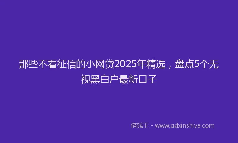 那些不看征信的小网贷2025年精选，盘点5个无视黑白户最新口子