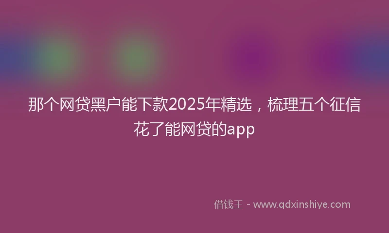 那个网贷黑户能下款2025年精选，梳理五个征信花了能网贷的app