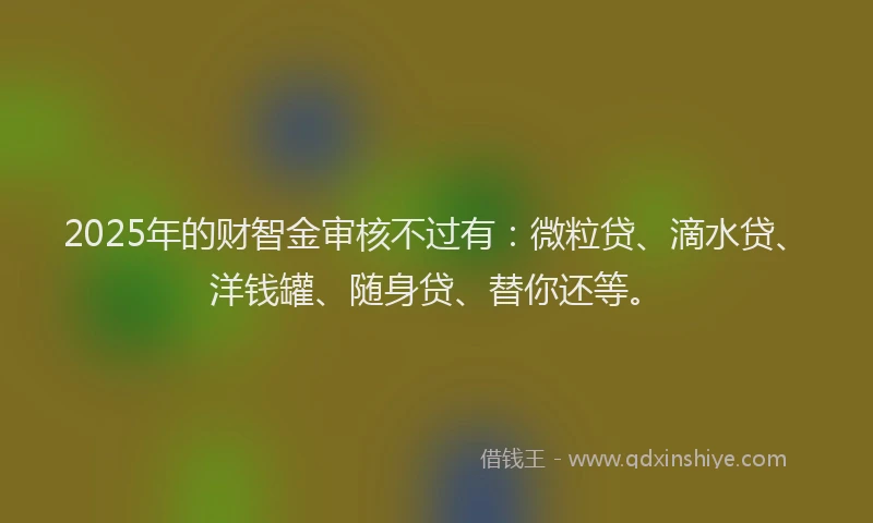 2025年的财智金审核不过有：微粒贷、滴水贷、洋钱罐、随身贷、替你还等。