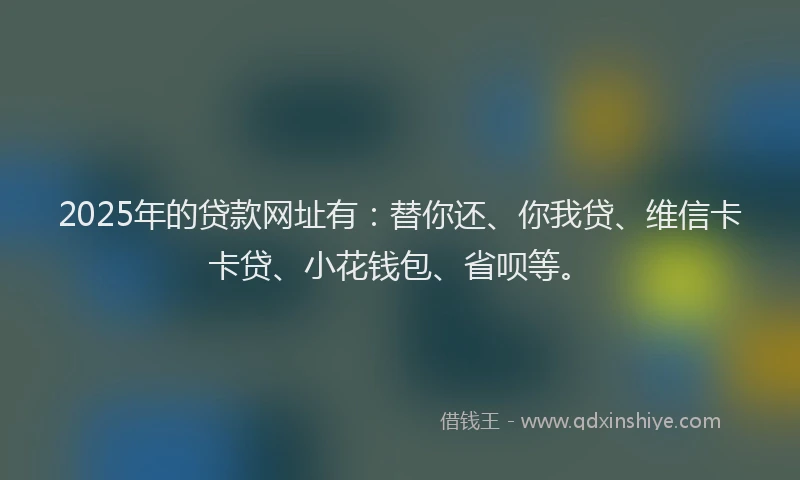 2025年的贷款网址有：替你还、你我贷、维信卡卡贷、小花钱包、省呗等。