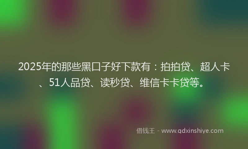 2025年的那些黑口子好下款有：拍拍贷、超人卡、51人品贷、读秒贷、维信卡卡贷等。