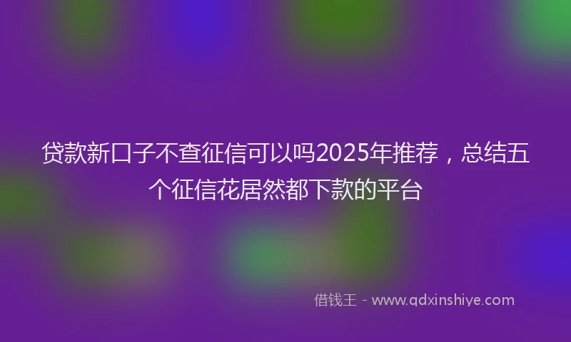 贷款新口子不查征信可以吗2025年推荐，总结五个征信花居然都下款的平台