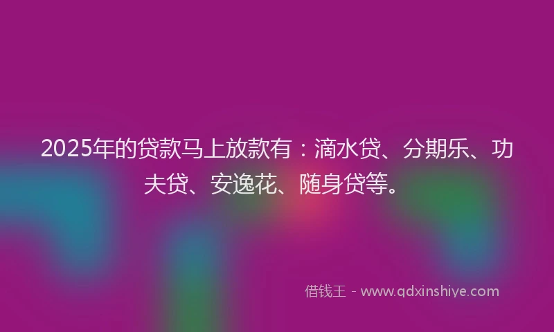 2025年的贷款马上放款有：滴水贷、分期乐、功夫贷、安逸花、随身贷等。